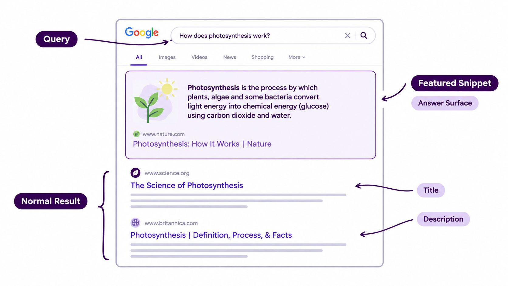 A diagram illustrating a Google search results page displaying a query, featured snippet, and normal search results.